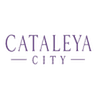 Finalcity-rp payment